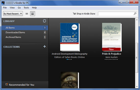 kindle for pc screenshot