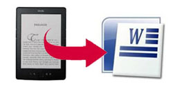 kindle to word
